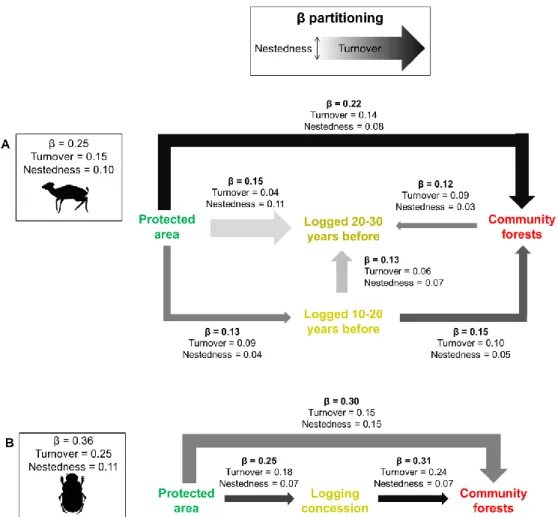 Figure 2.3: Beta diversity partitioning in turnover and nestedness components for  mammal species (A), and for dung beetle species (B)