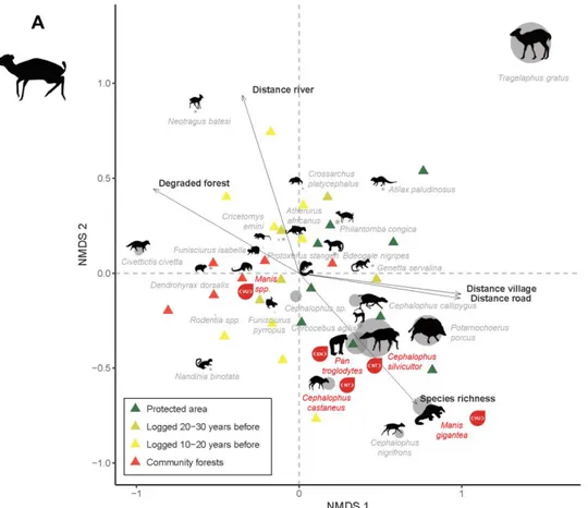 Figure 2.4: Nonmetric Multidimensional Scaling of the abundance matrix for mammal  species (A) and dung beetle species (B) (see the full legend in page 34)