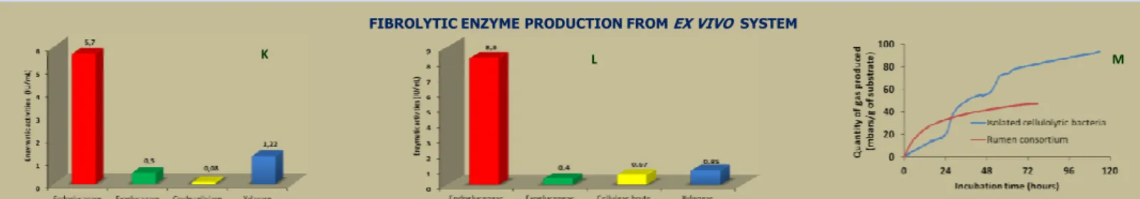 Figure 4:  Kinetic of biomass production from Bacillus niabensis (J).  In the ex vivo system (I), the cellular biomass reached 10 9 bacteria/mL from 10 5 bacteria/mL in 24 hours (10 litter 