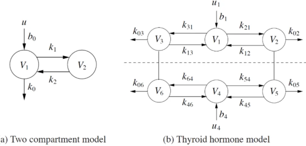 Figure  2.5 :  Exemples  de  schémas  de  modèles  par  compartiments :  a)  modèle  à  2  compartiments