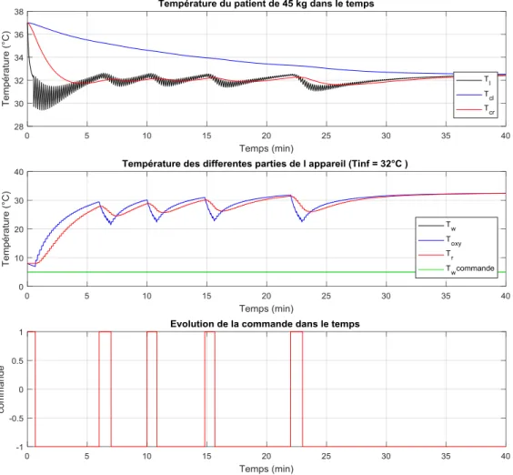 Figure 3.2 : Simulation d’une VLT sur un porc de 45 kg avec la commande de type « bang- bang-bang » 