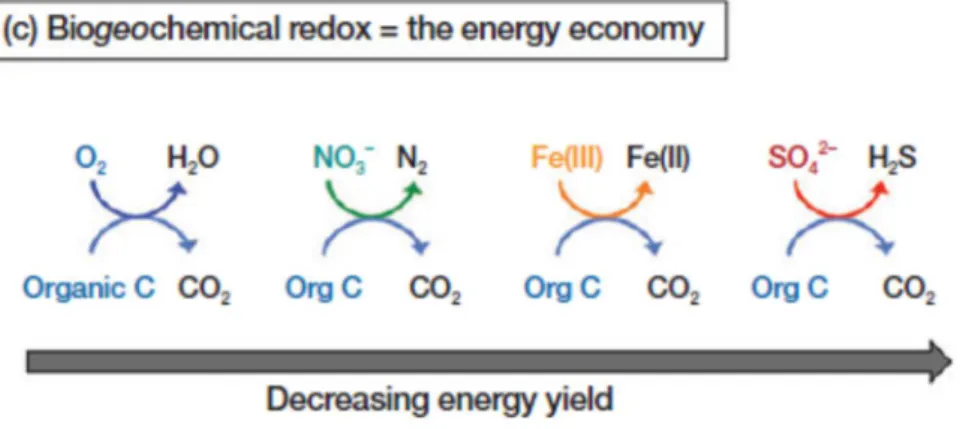 Figure 1: Ranking of the different potential electron acceptors for AOM, according to  their energy yield