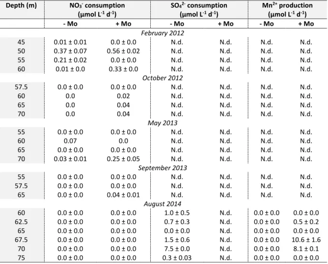 Table 6: Anoxic depths (m), NO 3 -  and SO 4 2-  consumption and Mn 2+  production rates (µmol L -1  d -1 ) and their  standard deviation, without and with molybdate added (- Mo and + Mo, respectively), for all campaigns