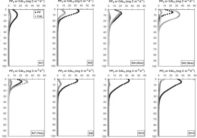 Fig. 11. Vertical proﬁles of daily PP z (ﬁlled circles) and CAL z (open circles) rates in the northern Bay of Biscay (June 2004)