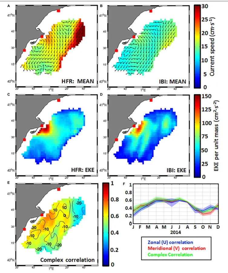 FIGURE 6 | Surface velocity fields (A,B) and maps of eddy kinetic energy EKE (C,D) derived from hourly HFR (left) and CMEMS IBI model (right) estimations for Spring (MAM) 2014