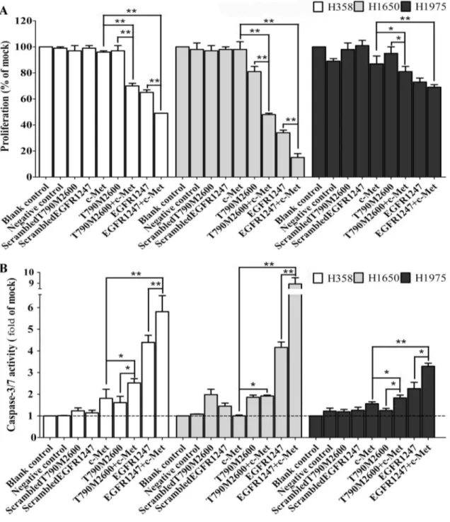 Figure 2. Functional effect of combination of EGFR-specific-siRNA with c-MET siRNAs. Panel A: Cell proliferation following transfection with different siRNAs