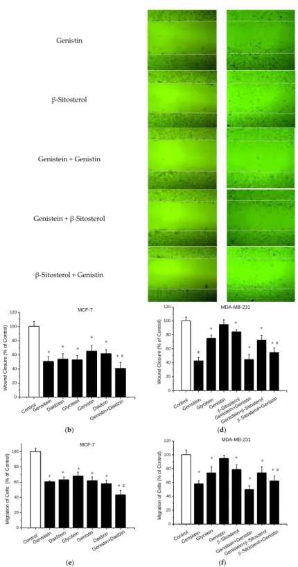 Figure 4. Inhibition of cell invasion and migration measured by wound healing assay and transwell  chamber assay