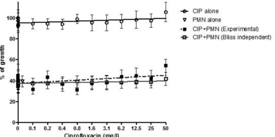 FIG. 5. Triple combination AMB ⫹ CIP ⫹ PMNs. Concentration-effect data and regression curves for AMB alone and the effects of CIP and PMNs alone, the triple combination AMB ⫹ CIP ⫹ PMNs, and the theoretical Bliss independence combination AMB ⫹ CIP ⫹ PMNs i