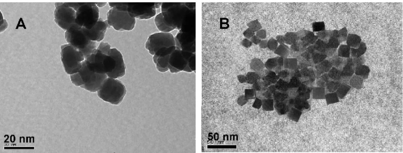 Figure 3.2. TEM images of the as-made samples:  (A) silylated nanosilicalite-1, (B)  silylated nanofaujasite