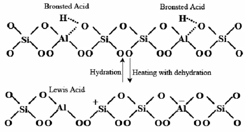 Figure 1.3. Inter-conversion of Brönsted and Lewis acid sites 