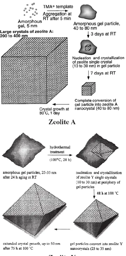 Figure 1.9. Nucleation and growth model of zeolite A and zeolite Y as represented by  TEM [34, 35] 