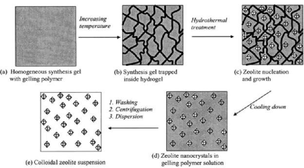 Figure 1.12. Schematic representation of synthesis of template-free zeolite nanocrystals by  using in situ thermoreversible polymer hydrogels.[104] 