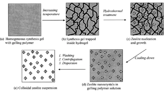 Figure 1.12. Schematic representation of synthesis of template-free zeolite nanocrystals by  using in situ thermoreversible polymer hydrogels.[104] 