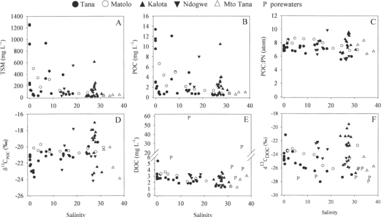 Fig. 6. Relationship between total suspended matter load (TSM) and ratio of dissolved to particulate organic carbon (DOC : POC) for various sampling regions.
