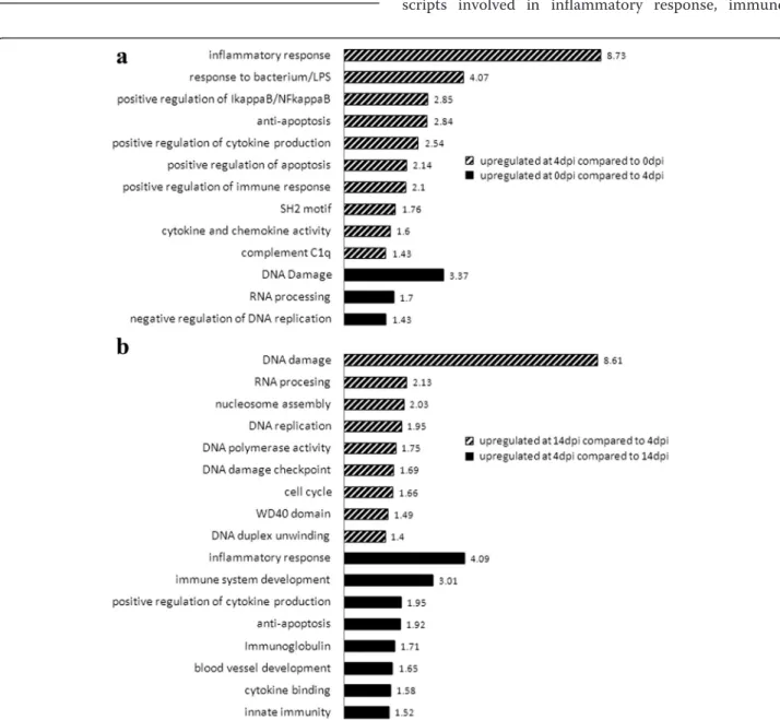 Fig. 1 Relevant GO enrichment terms for dpi comparisons of blood RNA DE genes. Significant GO enrichment clusters are described by an explanatory name, with the enrichment score shown at the end of each bar