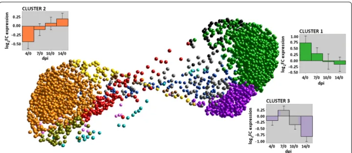 Fig. 2 BioLayout Express 3D (BE3D) clustering of 3,511 transcripts that were DE over time post PRRSV infection