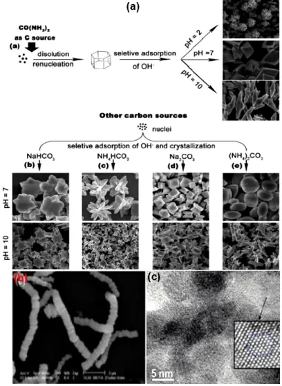 Figure  2.8.  Gallery  of  representative  SEM/HRTEM  images  of  rare  earth  doped  lanthanum  compound  nanocrystals:  (a)  schematic  illustration  for  the  formation  process  of  LaCO 3 OH  microcrystals  with  various  morphologies  using  differen