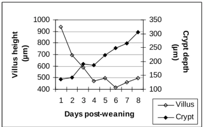 Figure 1. Villus height and crypt depth (µm) evolution at a site of 25 % along the small  intestine in pigs weaned at 21 days (adapted from Hampson, 1986)