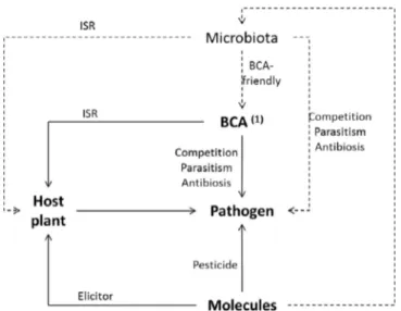 Fig. 1. Current and future roles of the microbiota in the control of plant pathogens.