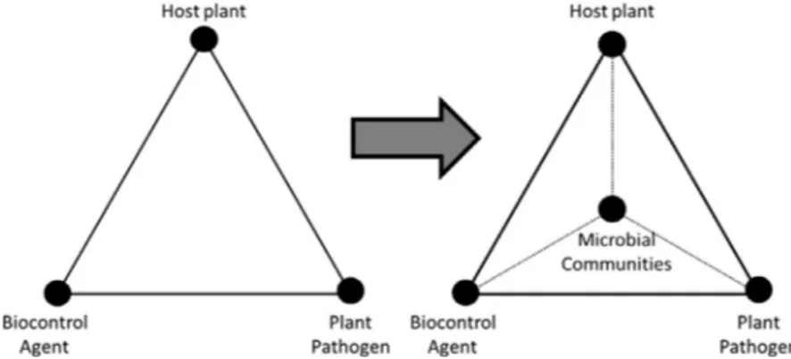 Fig. 3. Evolution of biocontrol research toward the integration of microbial communities into the current research triangle.