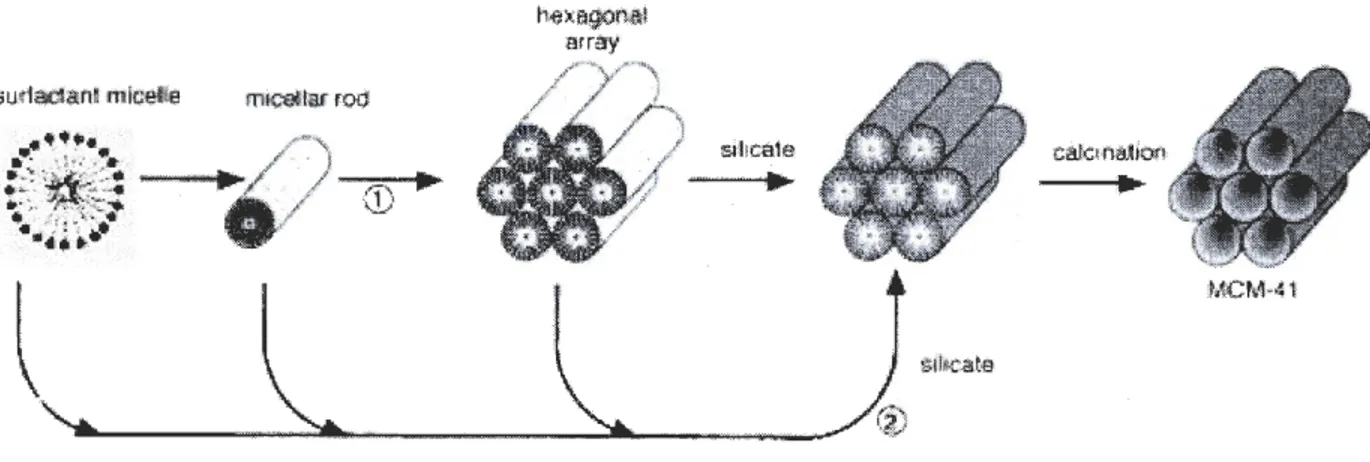 Figure  1.  Mécanisme de synthèse de  la MCM-41  proposé par Mobil  [Kresge et al. ,  1992] 