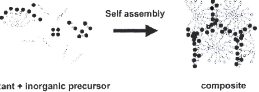 Figure 4.  Schéma de synthèse via l' auto-assemblage d'un tensioactif avec un précurseur inorganique [Schuth ,  2001] 