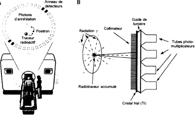 Figure 2.1 :  A. Principe de la détection en coïncidence dans une caméra TEP (adapté de 