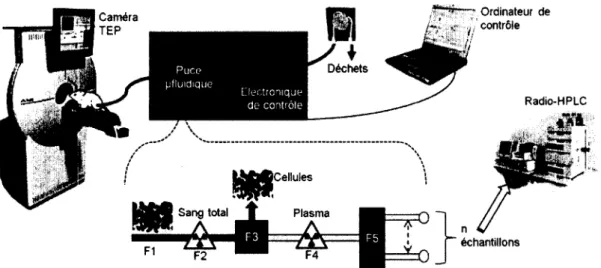 Figure 3.1  : Schéma du système d'analyse et des différentes fonctions à remplir par  la puce microfluidique ; non à  l'échelle