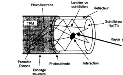Figure 4.6 : Principe d'un  détecteur à scintillation. Cas d'un  TPM couplé à un scintillateur  inorganique (adapté de  [Cherry et al., 2003])