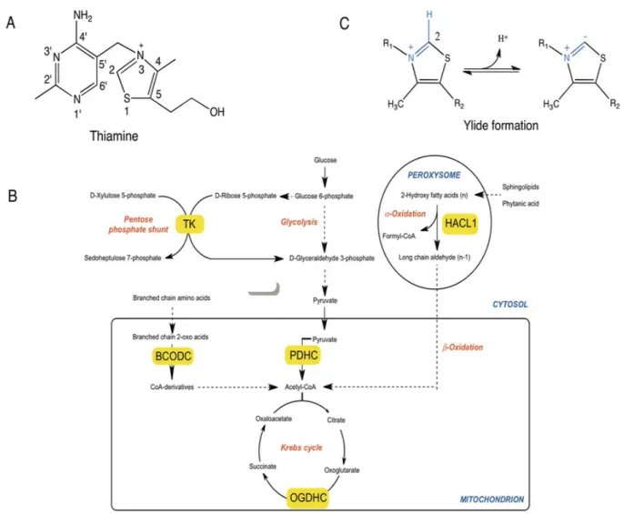Figure 1: Figure 1.tif 