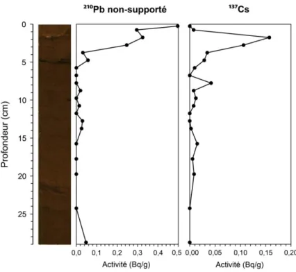 Figure 8. Courbes d’activité du  210 Pb non-supporté et du  137 Cs dans la carotte SN-1