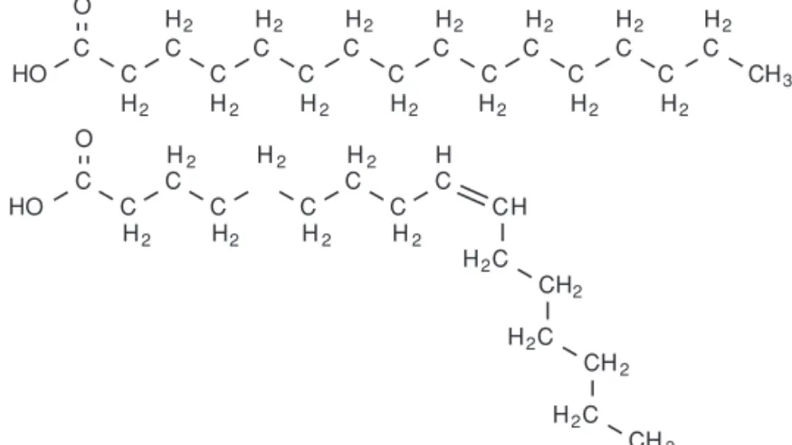 Figure 1.3 Formule d’un acide gras saturé (l’acide palmitique, en haut)   et d’un acide gras insaturé (l’acide palmitoléique, en bas)