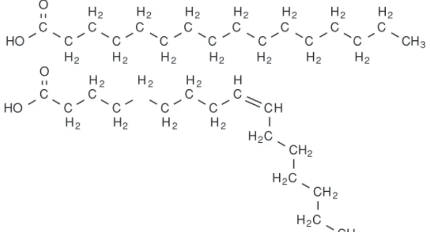 Figure 1.3 Formule d’un acide gras saturé (l’acide palmitique, en haut)  et d’un acide gras insaturé (l’acide palmitoléique, en bas)
