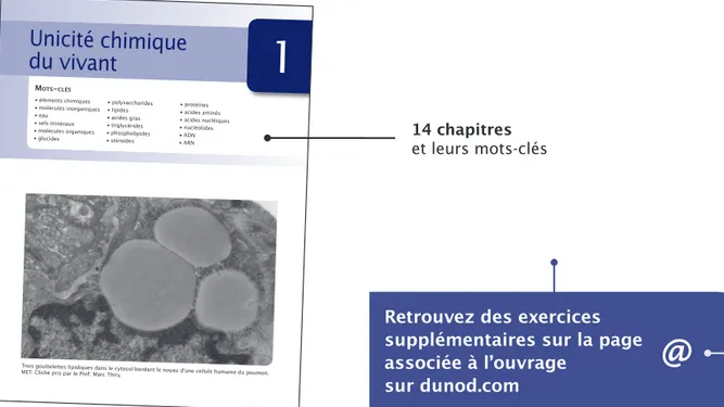 Figure 5.1 Schéma d’un ribosome