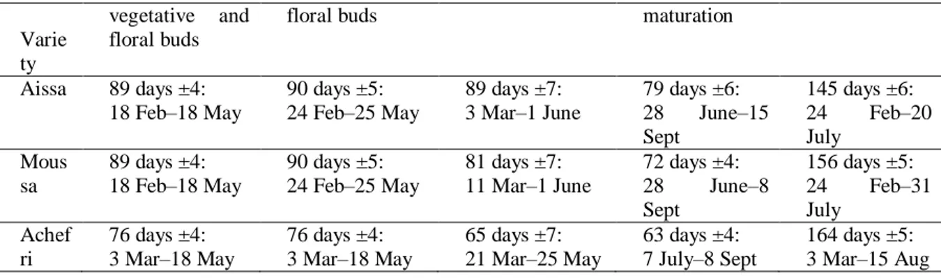 Table 3: Duration of the phenologic phases of flowering and fruiting of 'Achefri', 'Aissa' and 'Moussa' during the  second year of observations (2012) in the Agadir area