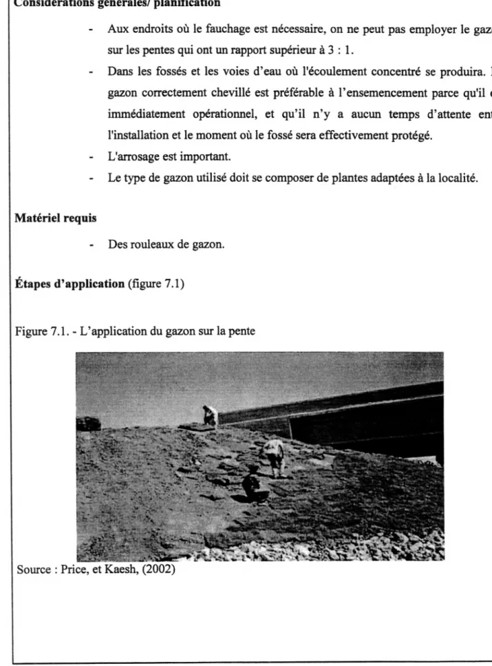 Figure 7.1. - L'application du gazon sur la pente 