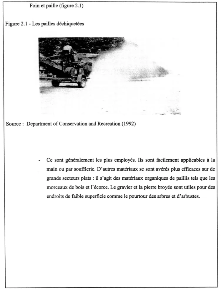 Figure 2.1 - Les pailles déchiquetées 