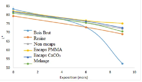 Figure 3.13: Évolution de la composante L* au cours des 9 mois d’exposition naturelle 