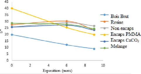 Figure 3.15 : Évolution de la composante b* au cours des 9 mois d’exposition naturelle 