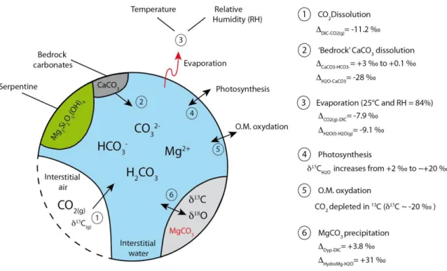 Figure 2.7 : Conceptual model of carbon isotope fractionation during mineral carbonation in the DNP  residues