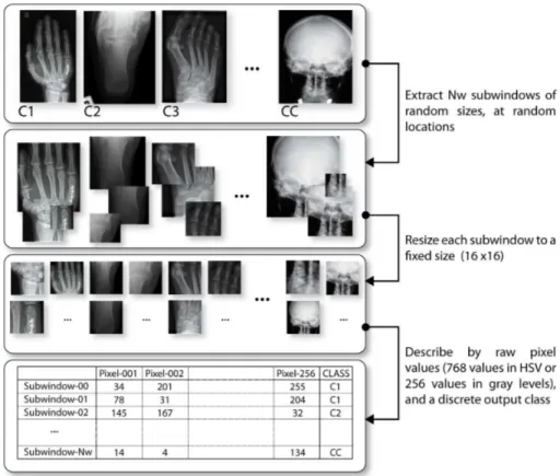Fig. 2. Random subwindows extraction and description by raw pixel values.