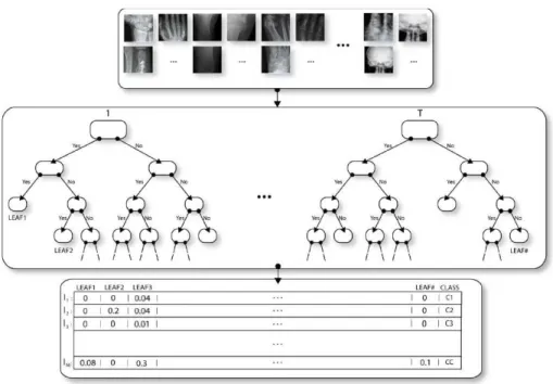Fig. 3. Training an ensemble of trees from random subwindows to build bags of visual terms.