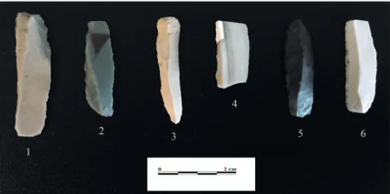 Fig. 3: Selection of backed pieces made for the experiment. 1–2, 5: Radiolarite; 3–4, 6: Jurassic Chert   (photo: A
