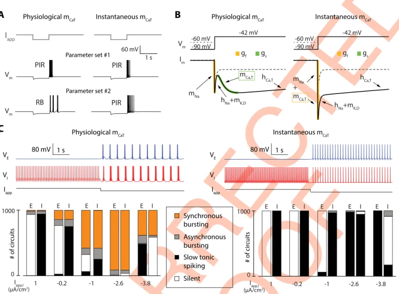 Fig 2. The cellular switch requires the kinetics of T-type calcium activation to be slow; it is lost when the activation is modeled as instantaneous