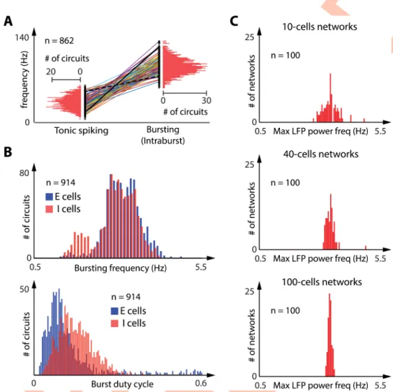 Fig 3. The robustness of the cellular switch to intrinsic and synaptic variability allows for a large tuning of rhythmic properties