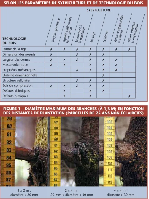 TABLEAU 1 – PRÉSENTATION MATRICIELLE DE L’INFORMATION DISPONIBLE SELON LES PARAMÈTRES DE SYLVICULTURE ET DE TECHNOLOGIE DU BOIS