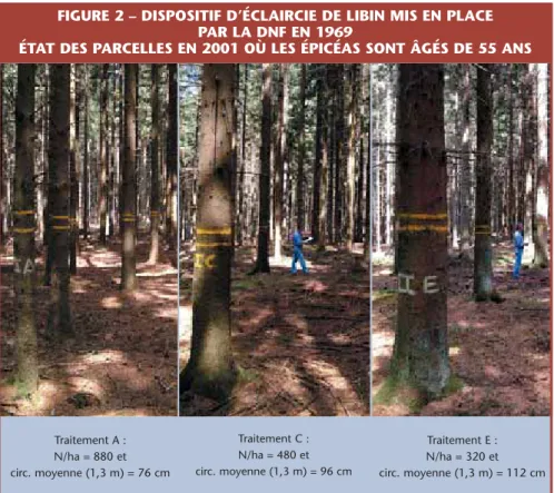 FIGURE 2 – DISPOSITIF D’ÉCLAIRCIE DE LIBIN MIS EN PLACE  PAR LA DNF EN 1969