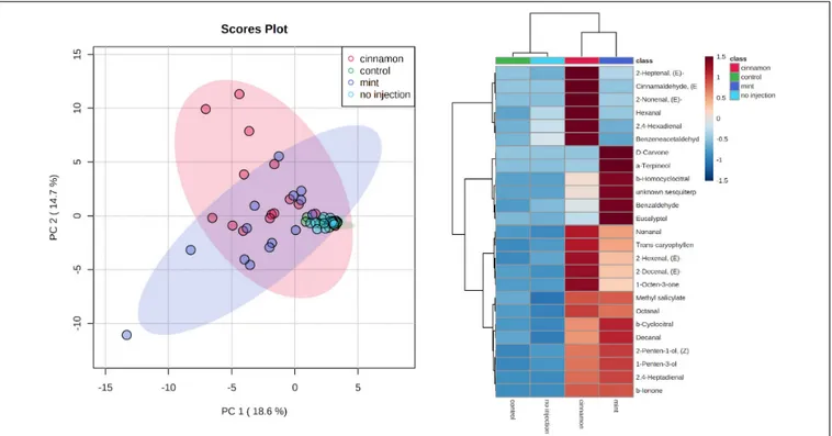 FIGURE 7 | Principal component analysis (PCA) (left) and heatmap of top 25 contributors merged by group (right) of Malus domestica volatile organic compounds (VOCs) contained generated on metaboanalyst software after data centring processing.