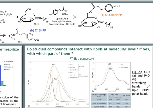 Fig 2.: C=O (a) and P=O (b) stretching bands of lipid POPC polar head.FT-IR SPECTROSCOPYPERMEABILITYASSAY12,5%45%66 %