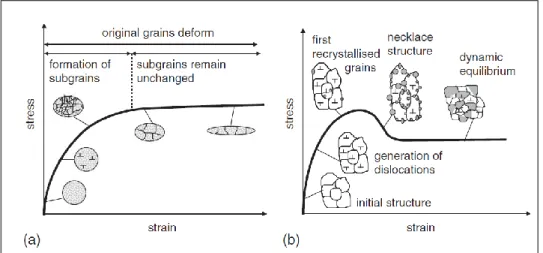 Figure 1- 9 : Évolution de la microstructure durant (a) la déformation à chaud d’un  matériau subissant de la restauration et (b) la déformation à chaud d’un matériau 